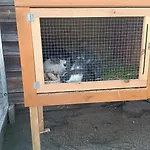 別荘 W Kokoszce Z Sauna I Jacuzzi スヲーネガシエ