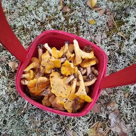 Prázdninový dům W Kokoszce Z Sauna I Jacuzzi *