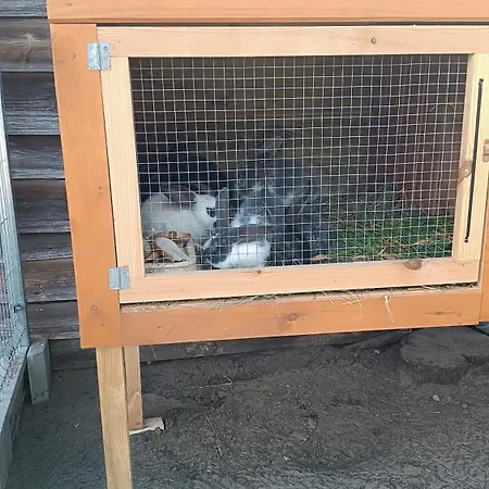 Prázdninový dům W Kokoszce Z Sauna I Jacuzzi Swornegacie