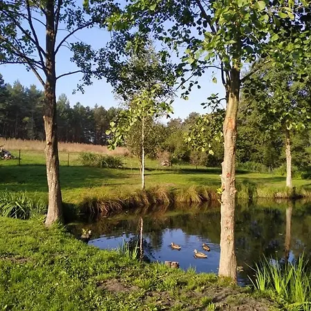 W Kokoszce Z Sauna I Jacuzzi Swornegacie