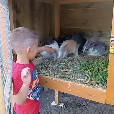 W Kokoszce Z Sauna I Jacuzzi