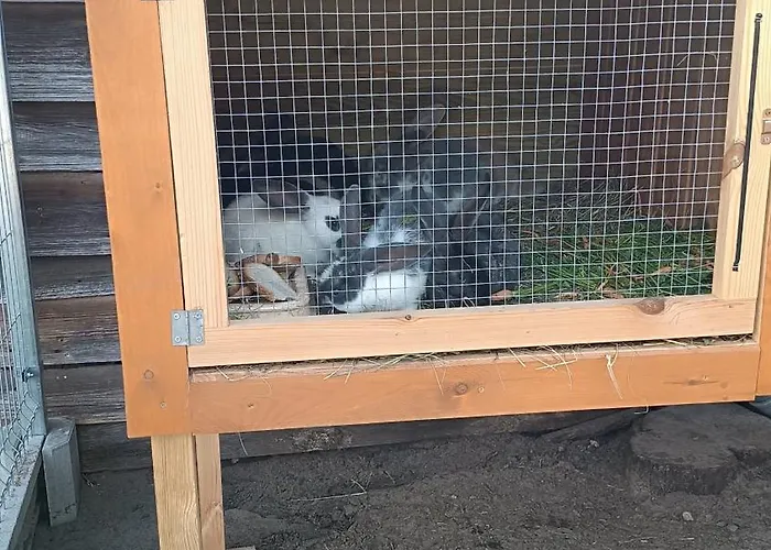 Prázdninový dům W Kokoszce Z Sauna I Jacuzzi Swornegacie