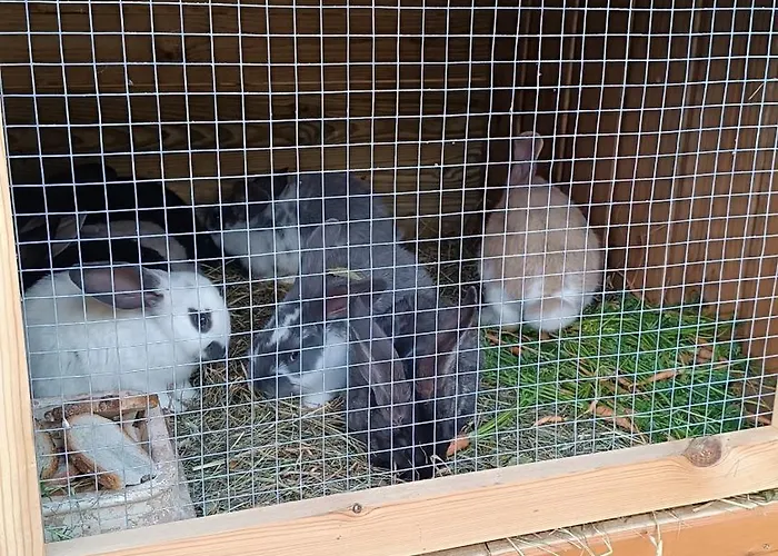 Prázdninový dům W Kokoszce Z Sauna I Jacuzzi Swornegacie