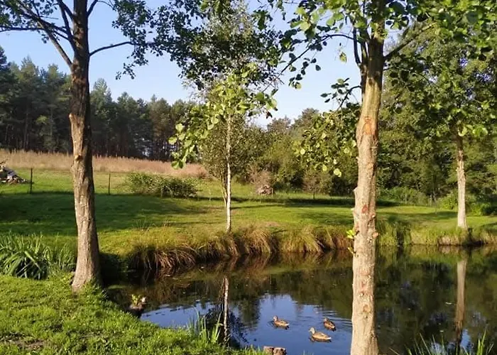 W Kokoszce Z Sauna I Jacuzzi Swornegacie