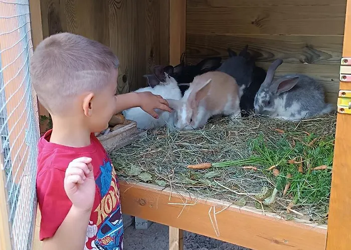 W Kokoszce Z Sauna I Jacuzzi