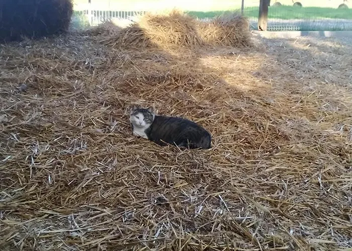 Prázdninový dům W Kokoszce Z Sauna I Jacuzzi *